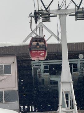 のぼりべつクマ牧場に投稿された画像（2024/2/8）