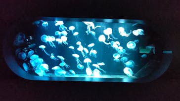 AOAO SAPPOROに投稿された画像（2024/2/8）