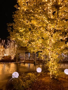 いばらきフラワーパークに投稿された画像（2024/2/9）