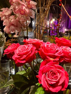 いばらきフラワーパークに投稿された画像（2024/2/9）