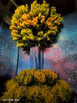 世界らん展2026-花と緑の祭典-に投稿された画像（2024/2/9）