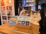 猫カフェモカ　池袋東口店に投稿された画像（2024/2/9）