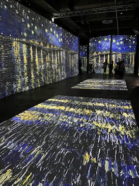 ゴッホ・アライブに投稿された画像（2024/2/9）