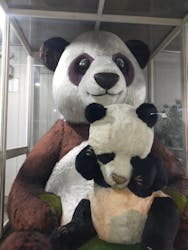 恩賜上野動物園に投稿された画像（2024/2/9）