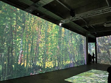 ゴッホ・アライブに投稿された画像（2024/2/9）