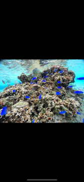 武藤潜水に投稿された画像（2024/2/9）