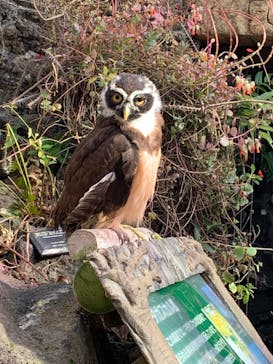 伊豆シャボテン動物公園に投稿された画像（2024/2/9）