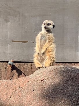 伊豆シャボテン動物公園に投稿された画像（2024/2/9）