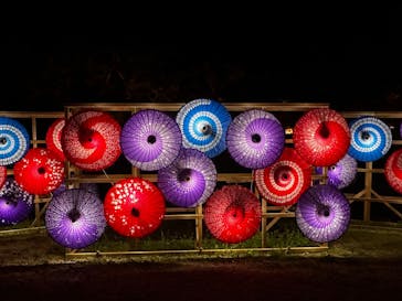 体験王国 むら咲むらに投稿された画像（2024/2/9）