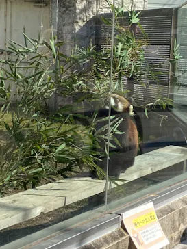 天王寺動物園に投稿された画像（2024/2/9）