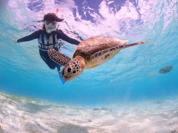 CHAMP TOUR　宮古島に投稿された画像（2024/2/7）