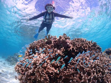 CHAMP TOUR　宮古島に投稿された画像（2024/2/7）