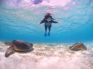 CHAMP TOUR　宮古島に投稿された画像（2024/2/7）