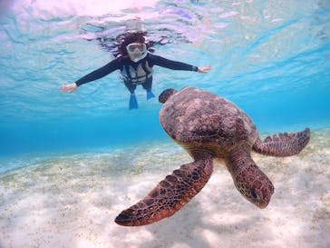 CHAMP TOUR　宮古島に投稿された画像（2024/2/7）