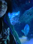 サンシャイン水族館に投稿された画像（2024/2/9）