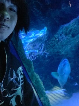 サンシャイン水族館に投稿された画像（2024/2/9）