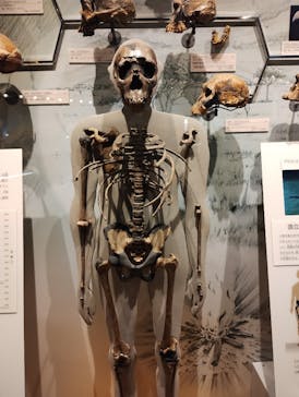 福井県立恐竜博物館に投稿された画像（2024/2/9）