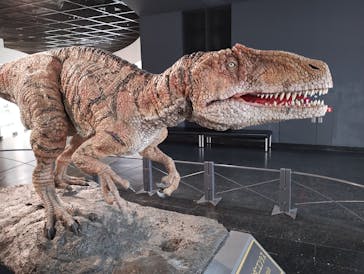 福井県立恐竜博物館に投稿された画像（2024/2/9）