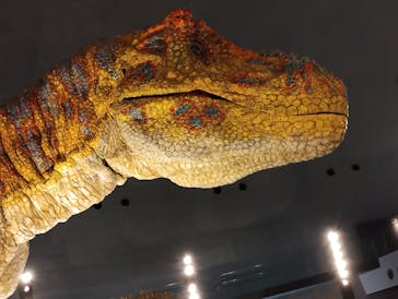 福井県立恐竜博物館に投稿された画像（2024/2/9）