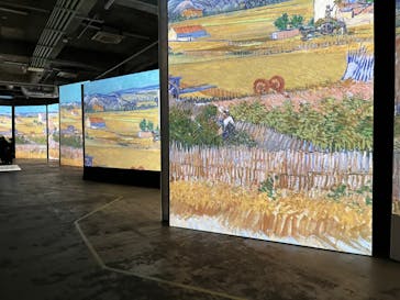 ゴッホ・アライブに投稿された画像（2024/2/9）