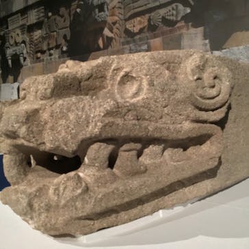 特別展「古代メキシコ ーマヤ、アステカ、テオティワカン」に投稿された画像（2024/2/9）