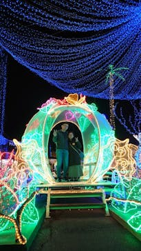 美らヤシパークオキナワ・東南植物楽園に投稿された画像（2024/2/9）