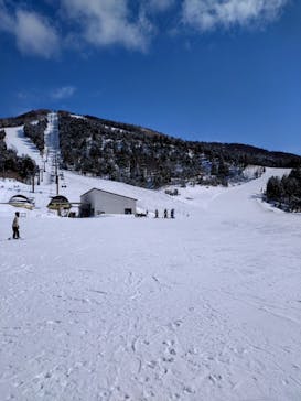 スキージャム勝山に投稿された画像（2024/2/9）