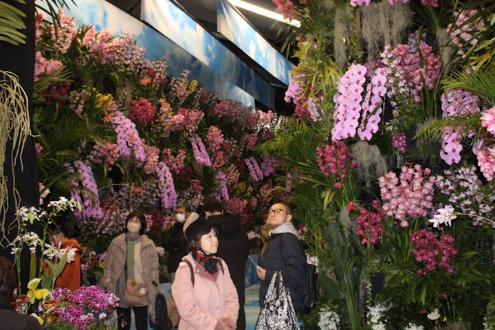 世界らん展2026-花と緑の祭典-の口コミ ｜初めての世界らん展でしたが