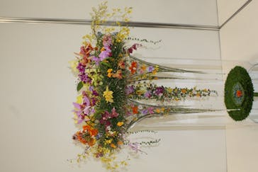 世界らん展2026-花と緑の祭典-に投稿された画像（2024/2/9）