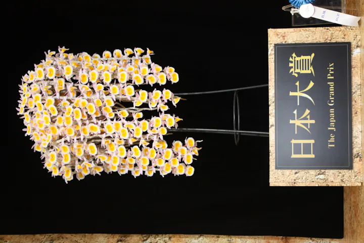 世界らん展2026-花と緑の祭典-の口コミ ｜初めての世界らん展でしたが