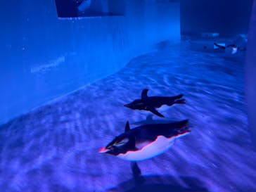 AOAO SAPPOROに投稿された画像（2024/2/9）