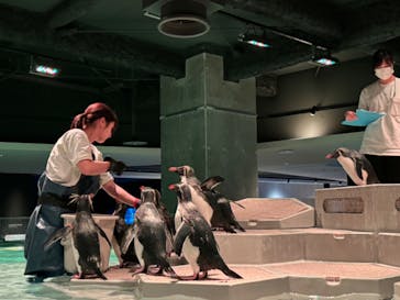 AOAO SAPPOROに投稿された画像（2024/2/9）