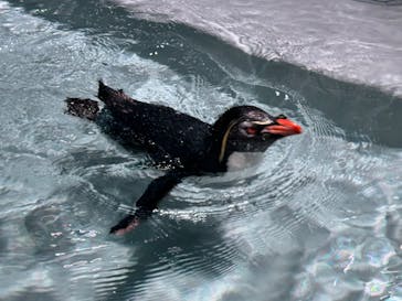 AOAO SAPPOROに投稿された画像（2024/2/9）