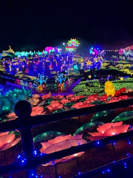 伊豆ぐらんぱる公園に投稿された画像（2024/2/10）