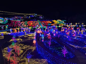 伊豆ぐらんぱる公園に投稿された画像（2024/2/10）