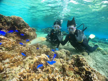 武藤潜水に投稿された画像（2024/2/10）