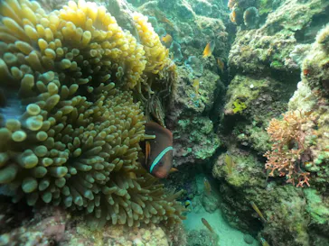 武藤潜水に投稿された画像（2024/2/10）