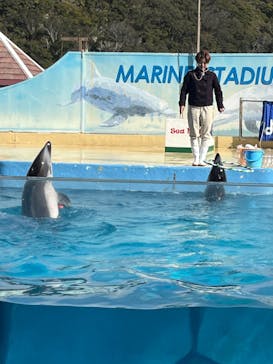 下田海中水族館に投稿された画像（2024/2/10）