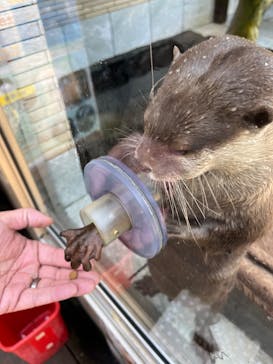 下田海中水族館に投稿された画像（2024/2/10）