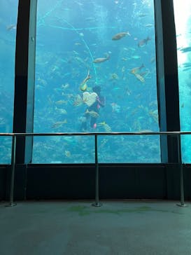 下田海中水族館に投稿された画像（2024/2/10）
