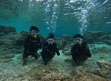 武藤潜水に投稿された画像（2024/2/10）