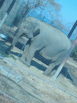 群馬サファリパークに投稿された画像（2024/2/10）