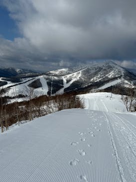 星野リゾート　トマムスキー場に投稿された画像（2024/2/10）