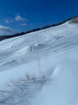 星野リゾート　トマムスキー場に投稿された画像（2024/2/10）