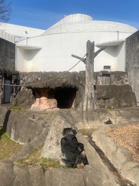 千葉市動物公園に投稿された画像（2024/2/10）