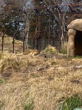 千葉市動物公園に投稿された画像（2024/2/10）