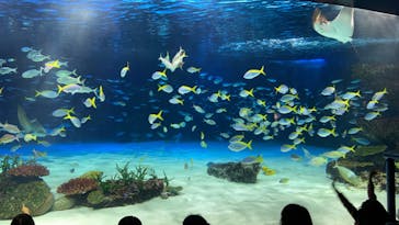 サンシャイン水族館に投稿された画像（2024/2/10）