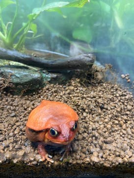 サンシャイン水族館に投稿された画像（2024/2/10）