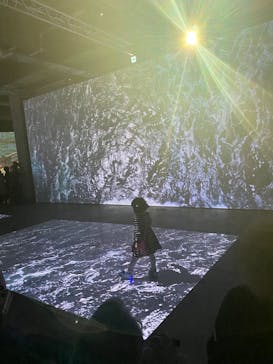 ゴッホ・アライブに投稿された画像（2024/2/10）