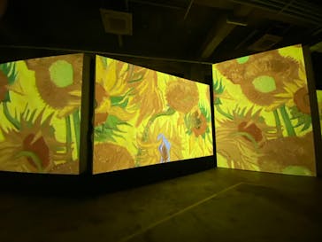 ゴッホ・アライブに投稿された画像（2024/2/10）